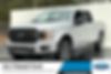 1FTEW1E51JFB25733-2018-ford-f-150-0