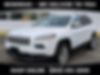 1C4PJMDSXEW303077-2014-jeep-cherokee-0