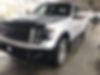 1FTFW1ET8DKD00378-2013-ford-f-150-0