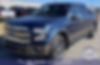 1FTEW1CF5FKD07316-2015-ford-f-150-0