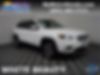 1C4PJMDX8LD501094-2020-jeep-cherokee-0