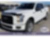 1FTEW1EP7HKE04283-2017-ford-f-150-0