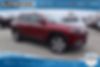 1C4PJMDX9LD613869-2020-jeep-cherokee
