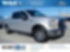 1FTEW1EP9GFA09335-2016-ford-f-150-0