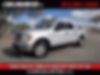 1FTEW1CMXDFD00950-2013-ford-f-150-0