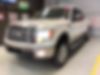 1FTFW1ET6CKD21289-2012-ford-f-150-0