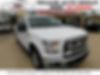 1FTEW1C80FKD13199-2015-ford-f-150-0