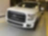 1FTEW1CF3GFB93553-2016-ford-f-150-0
