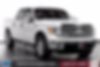 1FTFW1CT4DKD09842-2013-ford-f-150-0