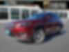1C4PJLMX6MD130934-2021-jeep-cherokee-0