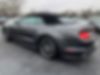 1FATP8UH3K5135766-2019-ford-mustang-2