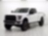 1FTEX1EP8FFB22527-2015-ford-f-150-0
