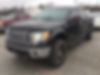 1FTFW1ET1BFB14493-2011-ford-f-150-0