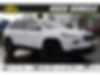 1C4PJMDX7JD555046-2018-jeep-cherokee-0