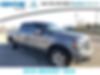 1FTFW1ET4BKE11619-2011-ford-f-150-0