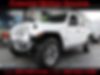 1C4HJXEN4LW114422-2020-jeep-wrangler-unlimited-0