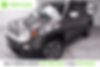 ZACCJBDT5GPD22390-2016-jeep-renegade