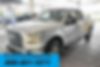 1FTEX1EP8GFA51220-2016-ford-f-150
