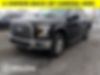 1FTEW1EF1GFA66717-2016-ford-f-150-0