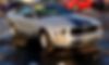 1ZVHT84N085190537-2008-ford-mustang