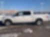 1FTFW1ET0DFD66593-2013-ford-f-150-1