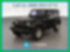 1J4AA2D12AL110509-2010-jeep-wrangler