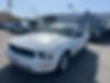 1ZVHT80N595110897-2009-ford-mustang-0