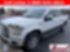 1FTEW1E84FFB96717-2015-ford-f-150-2