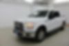 1FTEW1EP2GKD10729-2016-ford-f-150-0