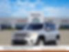 ZACNJDD12MPM09580-2021-jeep-renegade