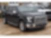 1FTEW1CF3GKF09587-2016-ford-f-150-0
