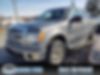 1FTFW1ET5DKD48789-2013-ford-f-150-0