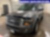 1FMJU2A57EEF06882-2014-ford-expedition-0