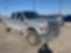 1FTSW2BR5AEA05567-2010-ford-f-250-0