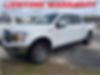 1FTEW1E51JFB31905-2018-ford-f-150-0