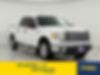 1FTEW1C88AFD25067-2010-ford-f-150-0