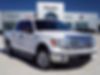 1FTFW1CT3DKG45725-2013-ford-f-150-0