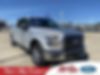 1FTEW1CP6GKF79481-2016-ford-f-150-0