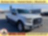 1FTEW1EF8GFA07096-2016-ford-f-150-0