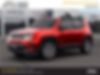 ZACNJDD11MPM50010-2021-jeep-renegade-0