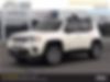 ZACNJDD11MPM50315-2021-jeep-renegade-0