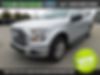 1FTEW1CP7GKF08189-2016-ford-f-150-0