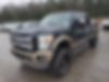 1FT7W2BT3DEB12977-2013-ford-f-250-1