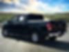 1FTEW1EP7HFB36182-2017-ford-f-150-1
