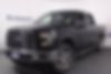 1FTEW1EP1GFA94784-2016-ford-f-150-0