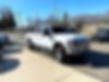 1FTSW21R09EA33886-2009-ford-f-250-0