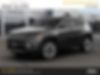 3C4NJDCB1MT550534-2021-jeep-compass-0