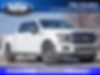 1FTEW1EP6JFB04619-2018-ford-f-150-0