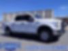 1FTEW1EF9GFB50140-2016-ford-f-150-0