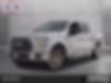 1FTEW1CF3GKF30567-2016-ford-f-150-0